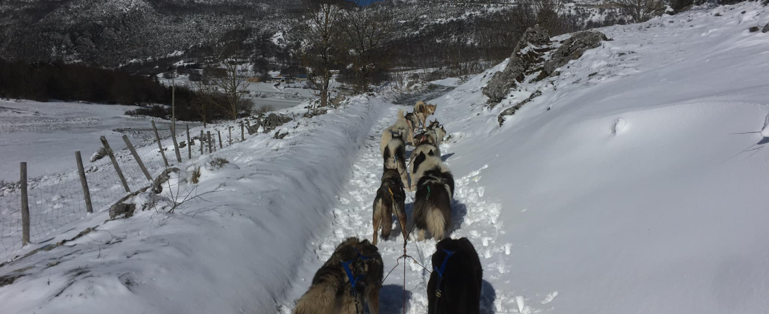 traineau  neige Extrapattes