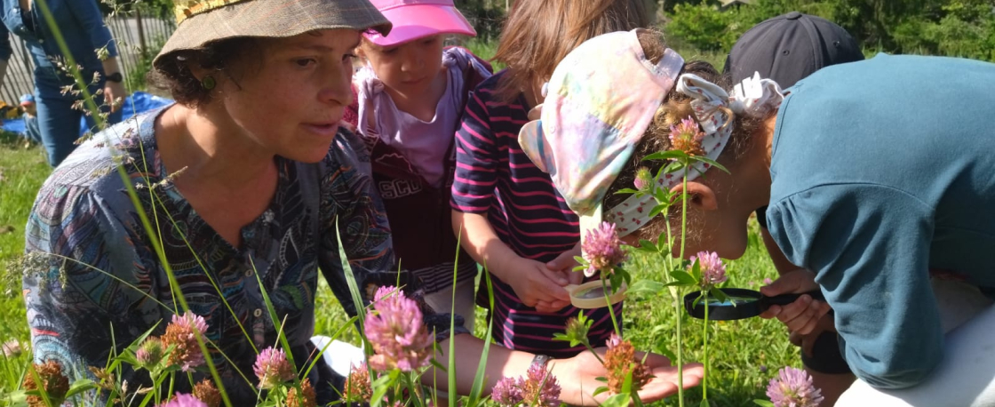 visite dans le jardin mdival