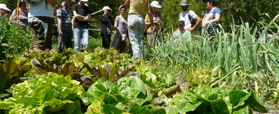 visites-des-jardins-de-terre-vivante-laurianne-norteau