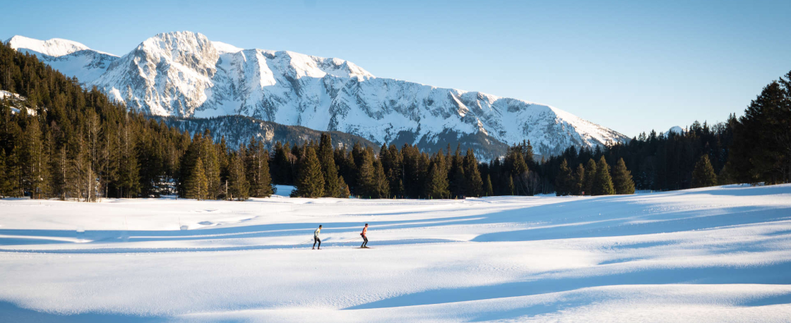 ski de fond sur le plateau de l'arselle à chamrousse dans les alpes en isère focus outdoor