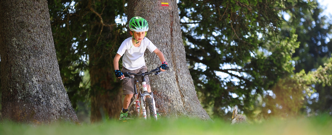 VTT dans les Alpes Isère