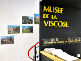 Muse de la Viscose