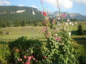 Terrain vert commun avec deux balanoires et un tourniquet . Vue sur la montagne