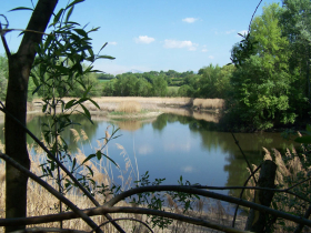 Rserve Naturelle de l'Etang de Jarrie