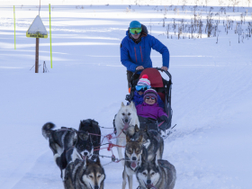 Photo chiens de traineau Chamrousse