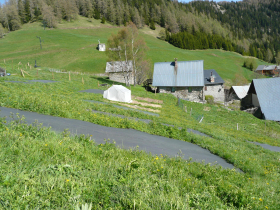 La ferme