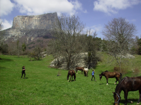 A cheval au pied du Mont Aguille