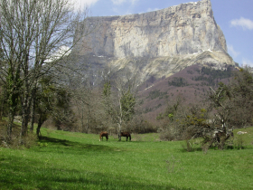 A cheval au pied du Mont Aguille