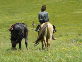 Dcouverte des alpages du sud-Isre  cheval