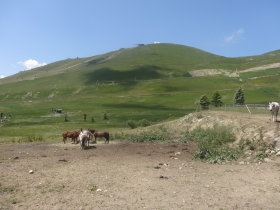 Les Ecuries du Second Souffle