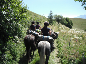 Dcouverte des alpages du sud-Isre  cheval