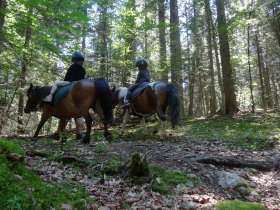 Pique nique à poney avec les Ecuries de Corrençon