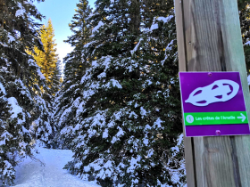 Photo sentier raquette  neige Crtes de l'Arselle Chamrousse