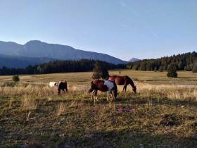 Plateau de l'Arselle  Chamrousse