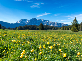 Photo du plateau de l'Arselle en t