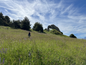 Pierre Perce par La Motte d'Aveillans