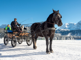 Balade en calche Chamrousse