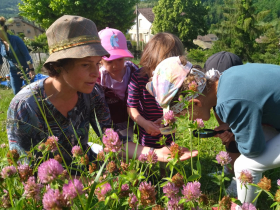 visite dans le jardin mdival