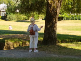 Dialogue avec l'arbre