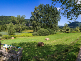 Sentier thmatique du Marais de Chirens